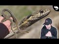 Clint&#39;s Heartbreaking Herping Experience - People Can Be So Cruel