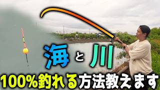 初心者でも海と川で100%釣れる方法を教えましょう!