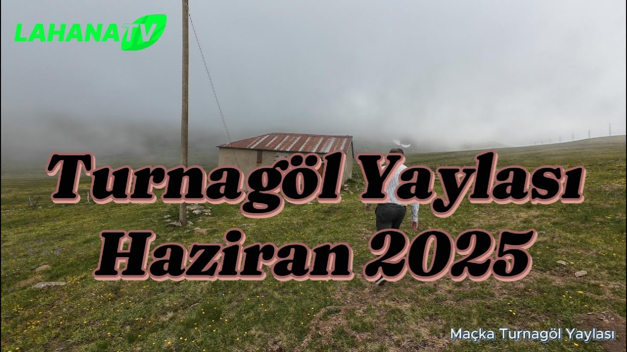 Turnagöl Yaylası Gezisi | Maçka'nın Göz Kamaştıran Doğası!