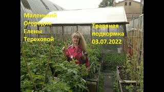 Маленький Огородик Елены Тереховой - Травяная подкормка 03.07.2022
