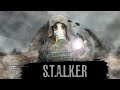 S.T.A.L.K.E.R. DayZ- RP. Generation Zone. Возвращения Тигра.