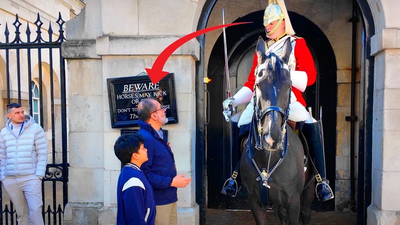 Tourists Entered the Box – The Guard’s Reaction Was Instant! 📦🐻