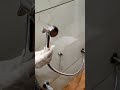 Live test of Surya health faucet freedom