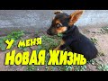 Найденыш. Новая жизнь. Мы семья. Обычные будни. Семья Соколовых