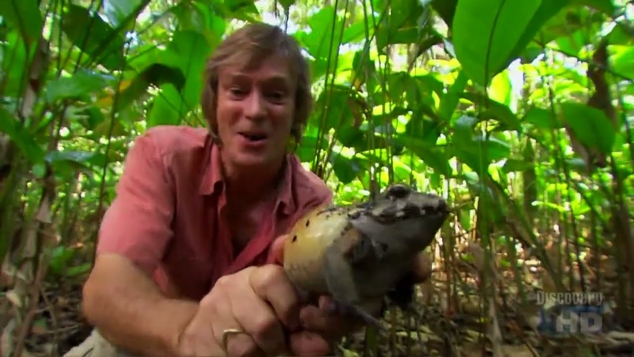 Austin Stevens Snakemaster Search for the Silent Fate Part 1