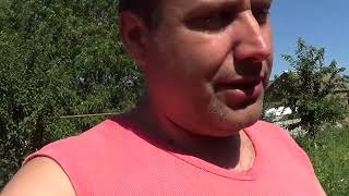 видео: ЧЕМ ОТЛИЧАЕТСЯ АЛЫЧА ОТ СЛИВЫ / ПРОГЕНЕРАЛИЛИ картинка: ЧЕМ ОТЛИЧАЕТСЯ АЛЫЧА ОТ СЛИВЫ / ПРОГЕНЕРАЛИЛИ