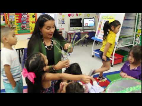 Pre-K students at Sullivan Environmental Science Academy study butterflies.