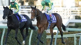 エネイブル サトノダイヤモンド  凱旋門賞 日本馬初優勝ならず！エネイブルが圧勝　サトノダイヤモンドは...