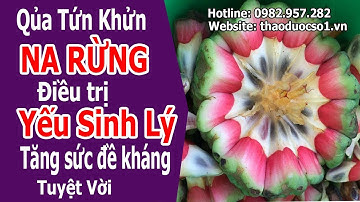 Na Rừng Và Cách sử dụng Na Rừng Để Ngâm Rượu giúp 
