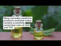 The ABCs of CBD and THC | Discover Marijuana