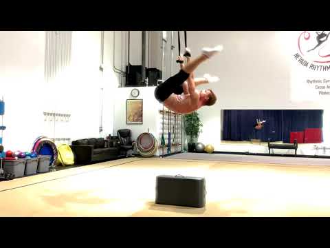 Wicked Games - Aerial Lyra Hoop Peformance (katecirque)