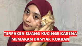 Terpaksa aku buang kucing, karena alasan ini?? Maafkan untuk semua para cat lover’s