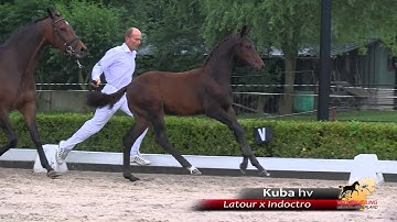 56 - Kuba hv - Latour x Indoctro