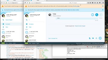 programmed a skype bot (No audio)