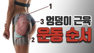 &#39;납작한 엉덩이?&#39; 이 순서를 몰라서 그런거에요