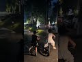 Buổi tối đi làm trông trẻ kiêm runner