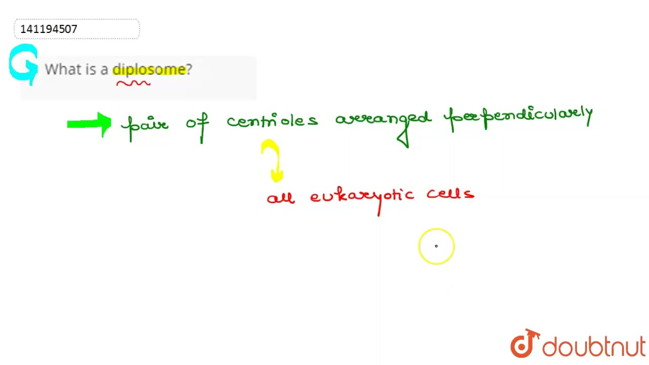 What is a diplosome? | 11 | CELL CYCLE AND CELL DIVISION  | BIOLOGY | PRADEEP | Doubtnut