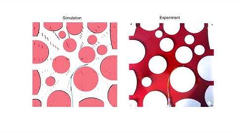 A Simulation Framework for Magnetic Continuum Robots