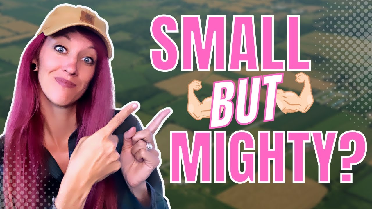 You Be The Judge: Country or City Living in Brush Prairie Washington?