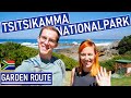 Garden route national park  tsitsikamma nationalpark sdafrika  roadtrip  travel tips  2022