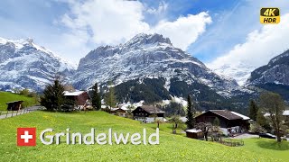 [Switzerland] Grindelwald, everyon can't help but love it🇨🇭 4k HDR