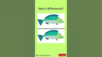Spot 3 differences 217