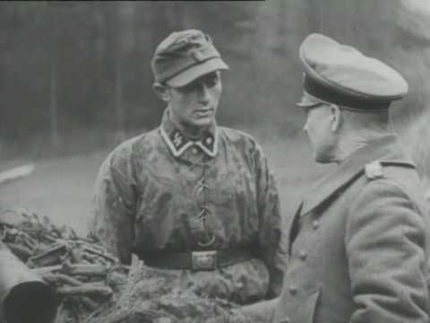 Die seltensten Auszeichnungen der Wehrmacht und SS im Zweiten Weltkrieg