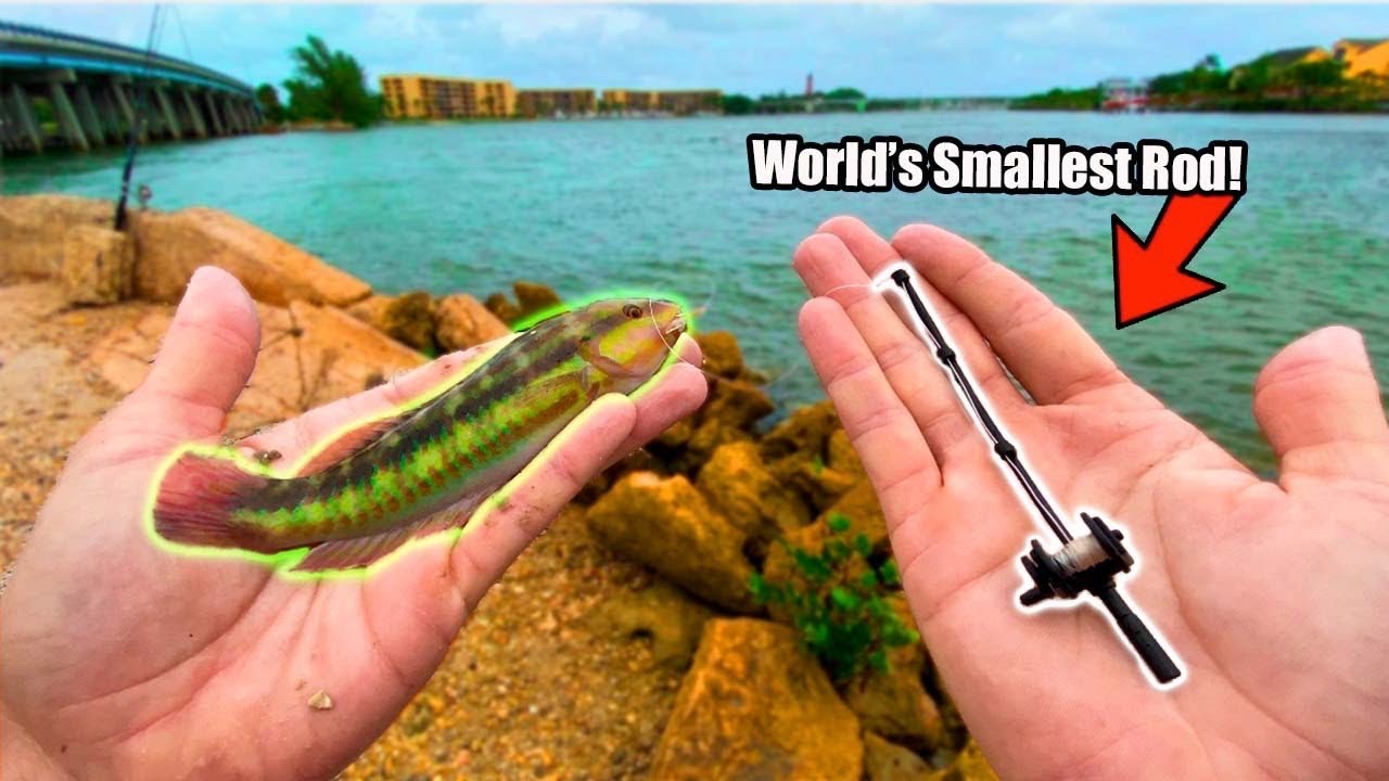 world's smallest fishing pole