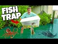 FISH TRAP CATCHES EXOTIC AQUARIUM FISH in HIDDEN MANGROVES!! (Find Your Own Bait Challenge)