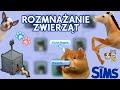 The Sims: Jak działa ROZMNAŻANIE ZWIERZĄT? 🐴