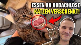 Obdachlose Katzen bekommen Bennys Futter?