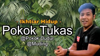 Ikhtiar Hidup : Umbu Dari Pokok Tukas @ Dudur @ Muding