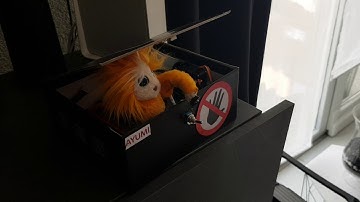 Arduino useless box