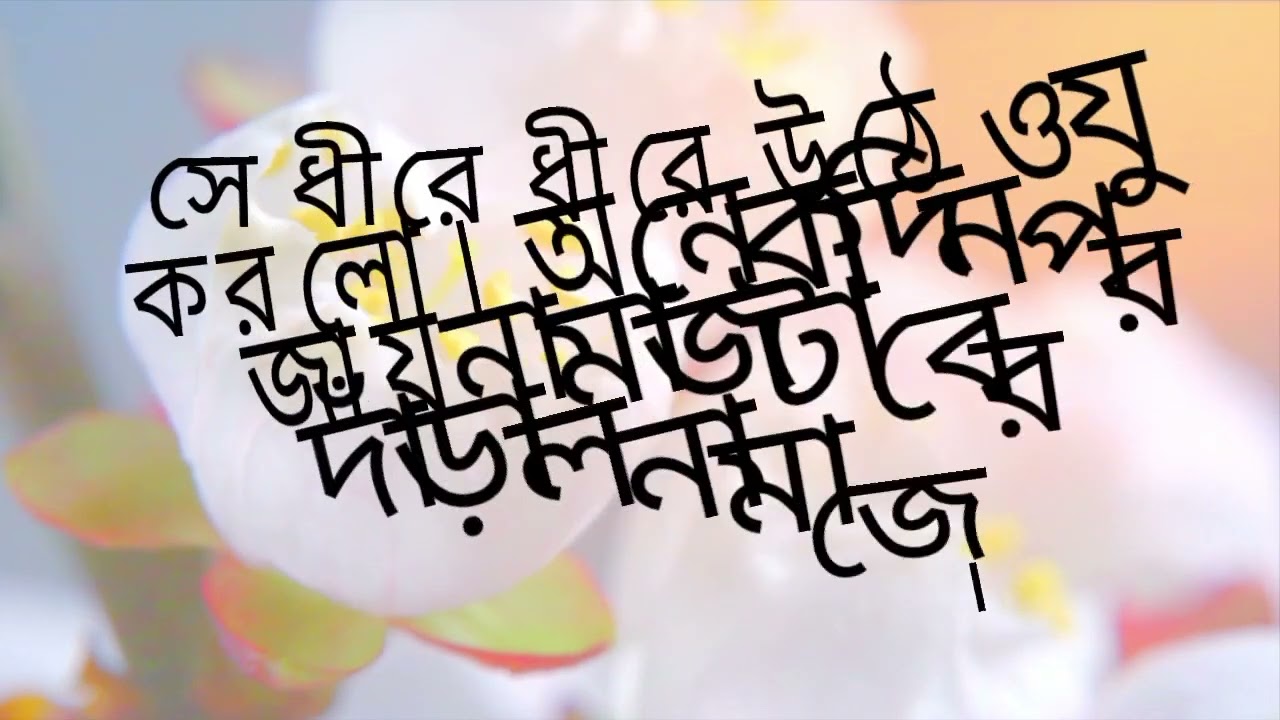 যে হৃদয় একবার সিজদার স্বাদ পায়, সে আর দুনিয়ার ভিড়ে হারিয়ে যেতে পারে না 🤍#ইসলামিকগল্প