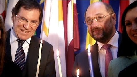 Plenary zapping -- December 2013