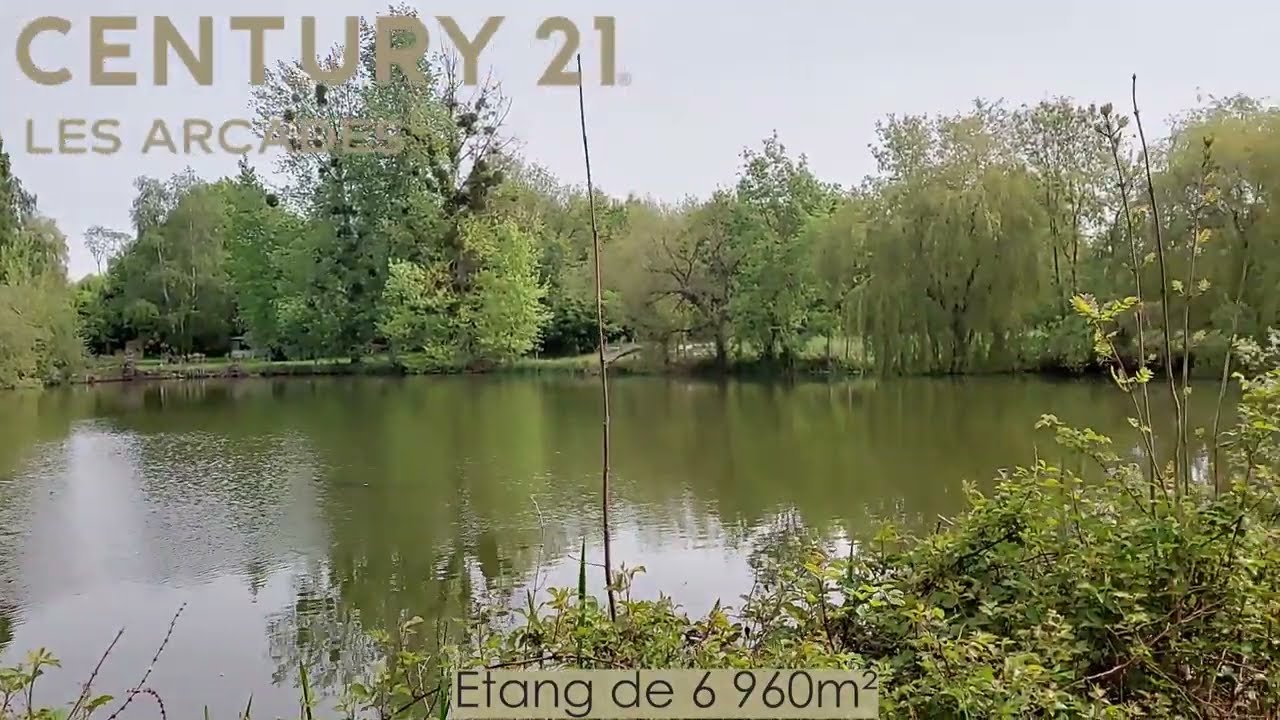 Terrain de loisirs avec étang à vendre - Century 21 - Cholet