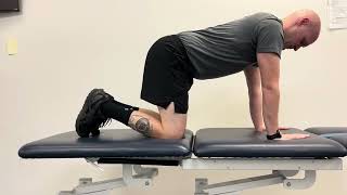 Quadruped hip extension