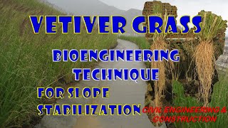 VETIVER GRASS | Bioengineering Technique for Slope Stabilization | Civil Engineering & Construction screenshot 5