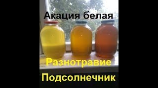 Продать мёд в розницу.Мёд оптом не сдаю.Как получить прибыль с пасеки от продажи мёда. Продать мёд в розницу.Мёд оптом не сдаю.Как получить прибыль с пасеки от продажи мёда.