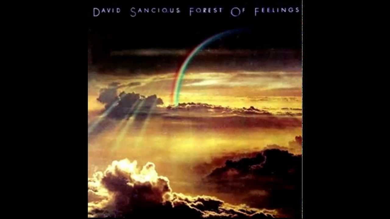 david sancious forest of feelings