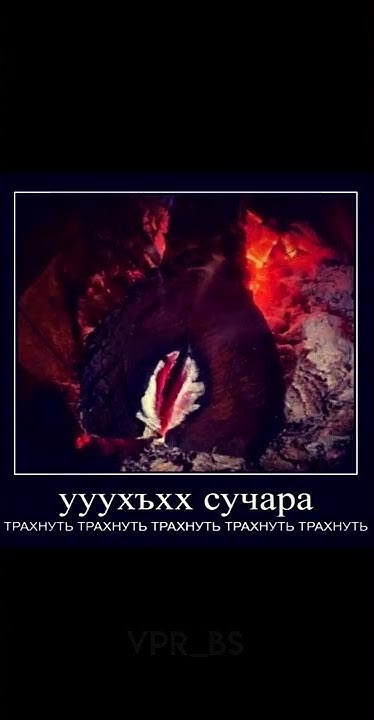 ПОДБОРКА МЕМОВ #6 // ТИК ТОК МЕМЫ // #мемы #тикток #shorts #шортс - YouTube