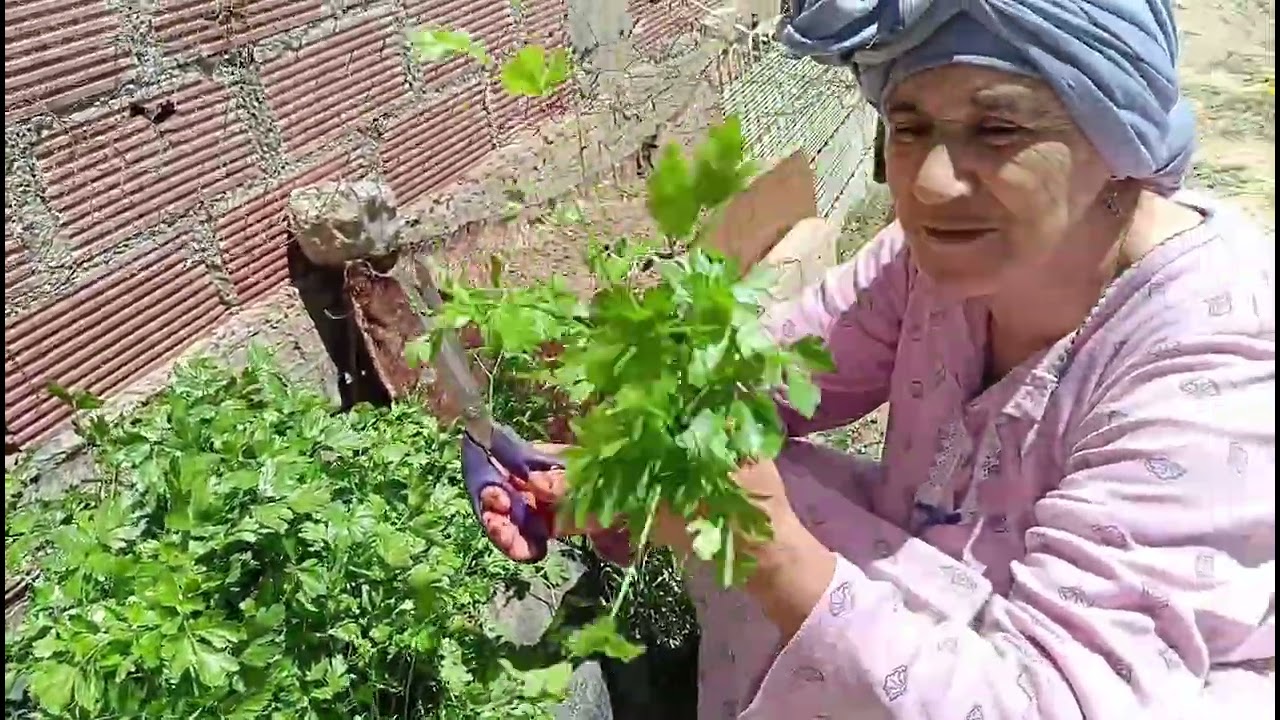 كما أرتاح معكم أريحكم معي وسط الطبيعة ...❤️🌹