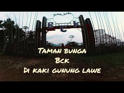  bck banjarmangu banjarnegara  TAMAN  BUNGA  DI  KAKI GUNUNG 