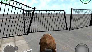 Bear simulator screenshot 5