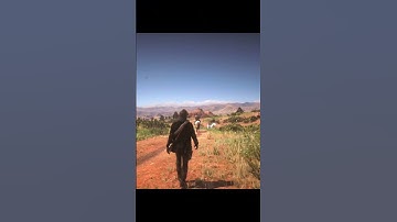 RDR2 Quick Draw (Controller) PS