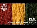 Ragga jungle tube vol 14