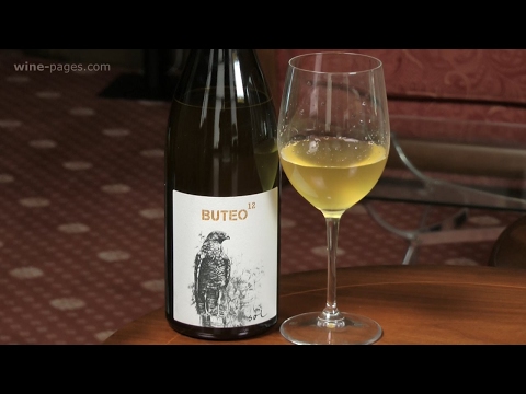 Video: Grüner Veltliner è La Star Della Scena Vinicola Austriaca