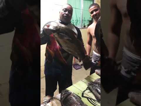 baia de Guanabara sempre salva! #baiadeguanabara  #pirauna #riodejaneiro #niteroi #jurujuba