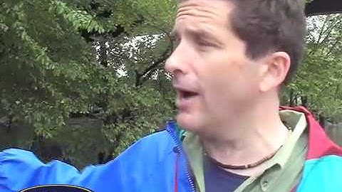 Heavy Rains Cause Sewage Overflow to Rock Creek, Anacostia