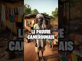 Top 10 des camerounais clichs